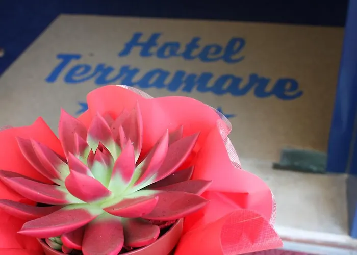 Hotel Terramare Lido di Jesolo